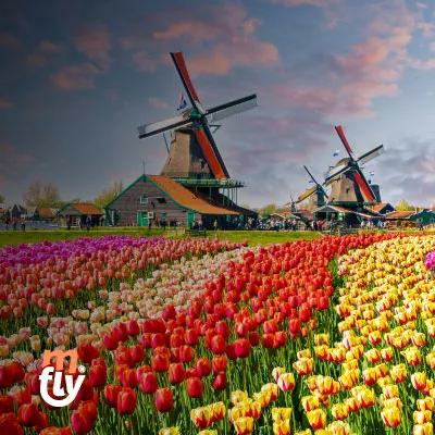 Descripción de la imagen 2